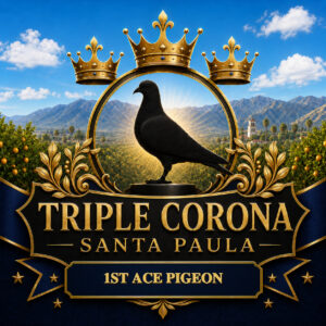 1st Ace & 24th Final – La Colonia – ACCDG 32603