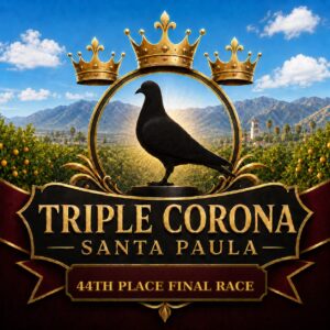 44th Final – Jose Carlos y Lalo – FMC 33061