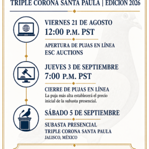 Auction Rules / Reglas de la Subasta | Triple Corona Santa Paula 2026